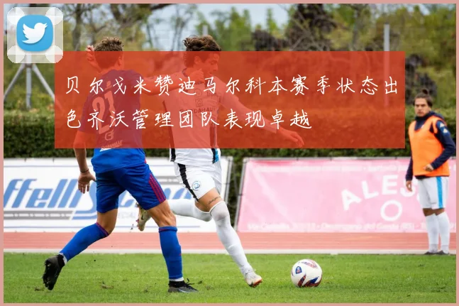 贝尔戈米赞迪马尔科本赛季状态出色齐沃管理团队表现卓越