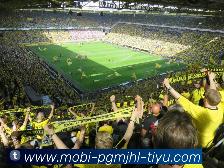 App Interface Preview